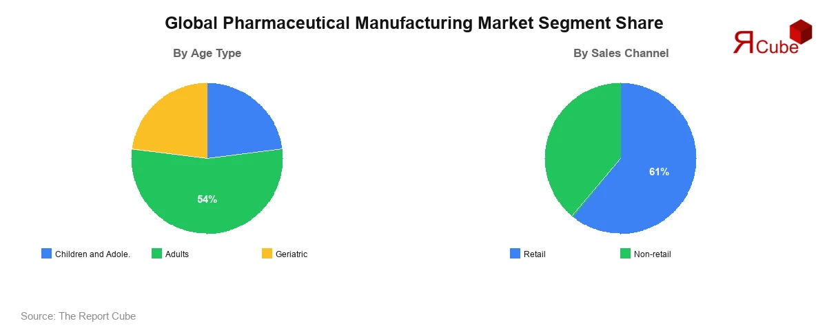 Pharmaceutical Manufacturing Market Segment Share