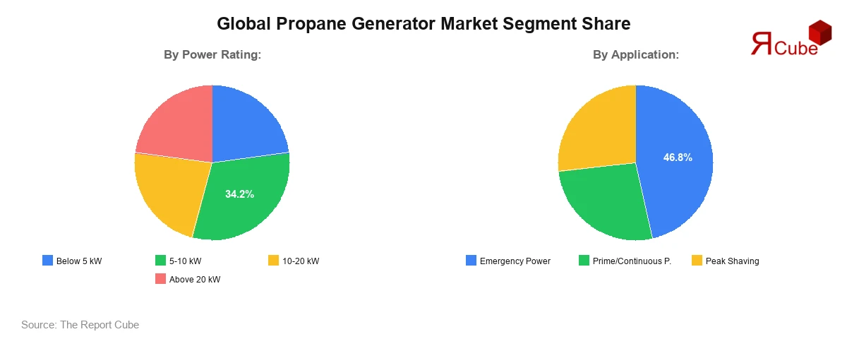 Propane Generator Market Segment Share