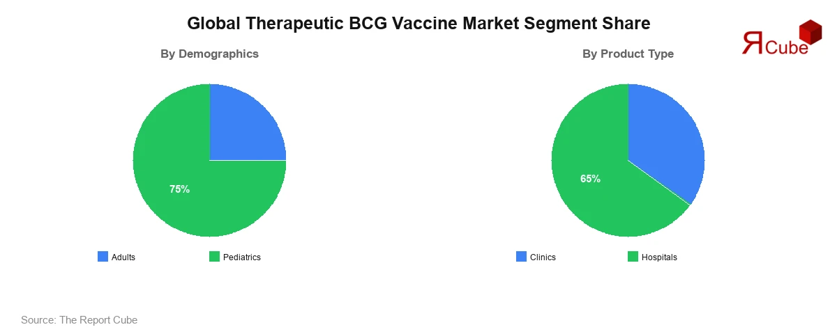 Global Therapeutic BCG Vaccine Market Segment-wise Analysis