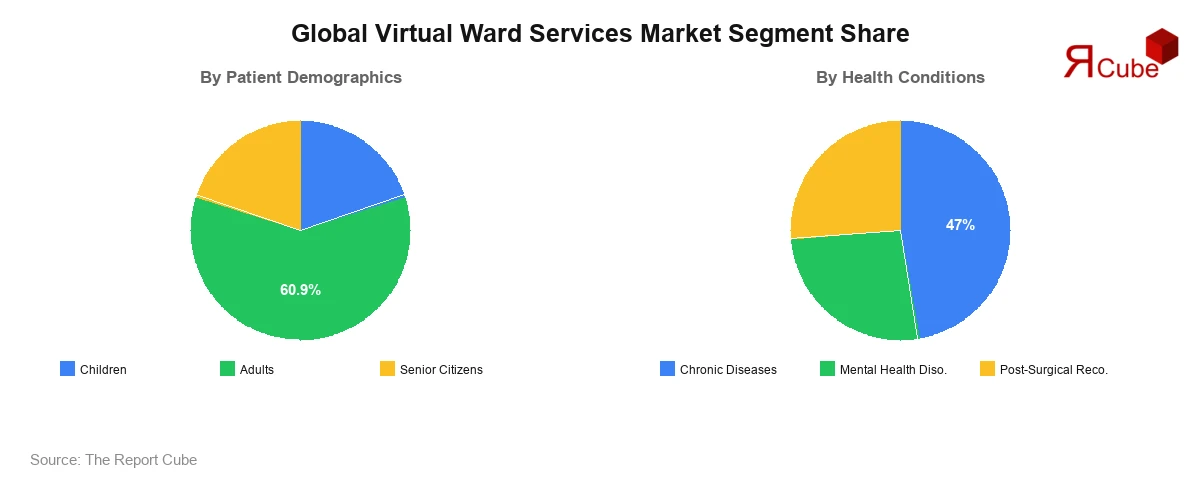 Global Virtual Ward Services Market Segment-wise Analysis