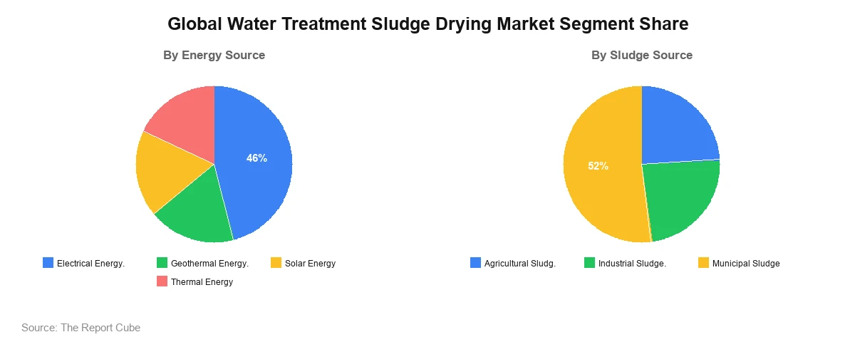 Global Water Treatment Sludge Drying Market Segment Share