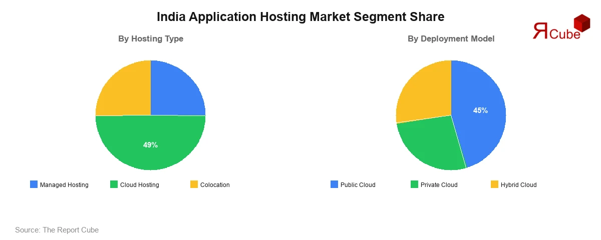 India Application Hosting Market Segment-wise Analysis