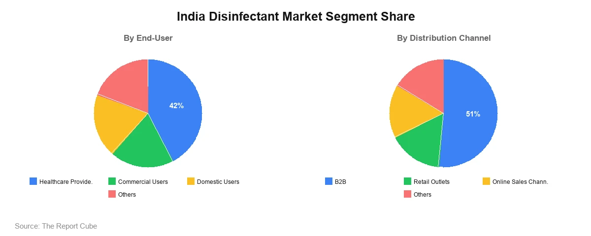 India Disinfectant Market Segment India Disinfectant Market Segment-wise Analysis