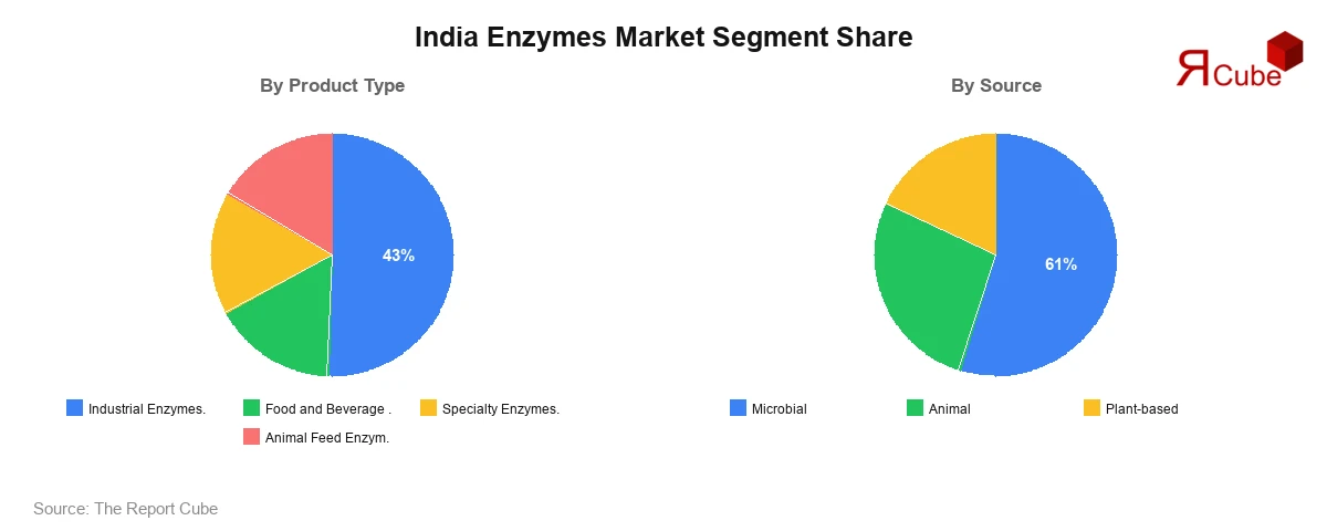 India Enzymes Market Segment-wise Analysis