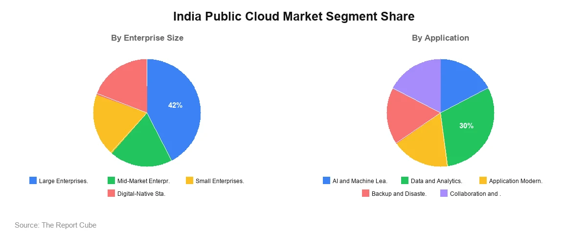 India Public Cloud Market Segment Analysis