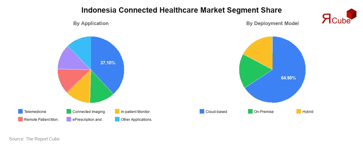 Indonesia Connected Healthcare Market Segment-wise Analysis