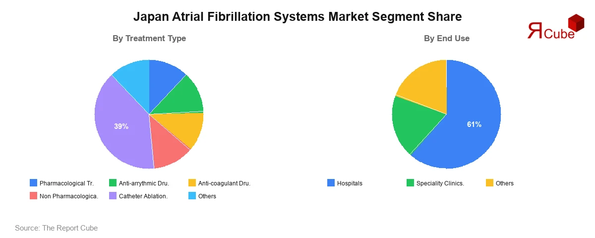 Japan Atrial Fibrillation Systems Market Segment Share Japan Atrial Fibrillation Systems Market Segment-wise Analysis