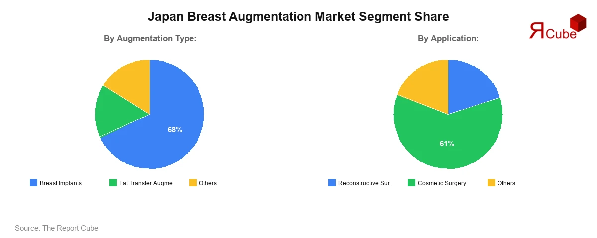 Japan Breast Augmentation Market Segment Share Japan Breast Augmentation Market Segment Share