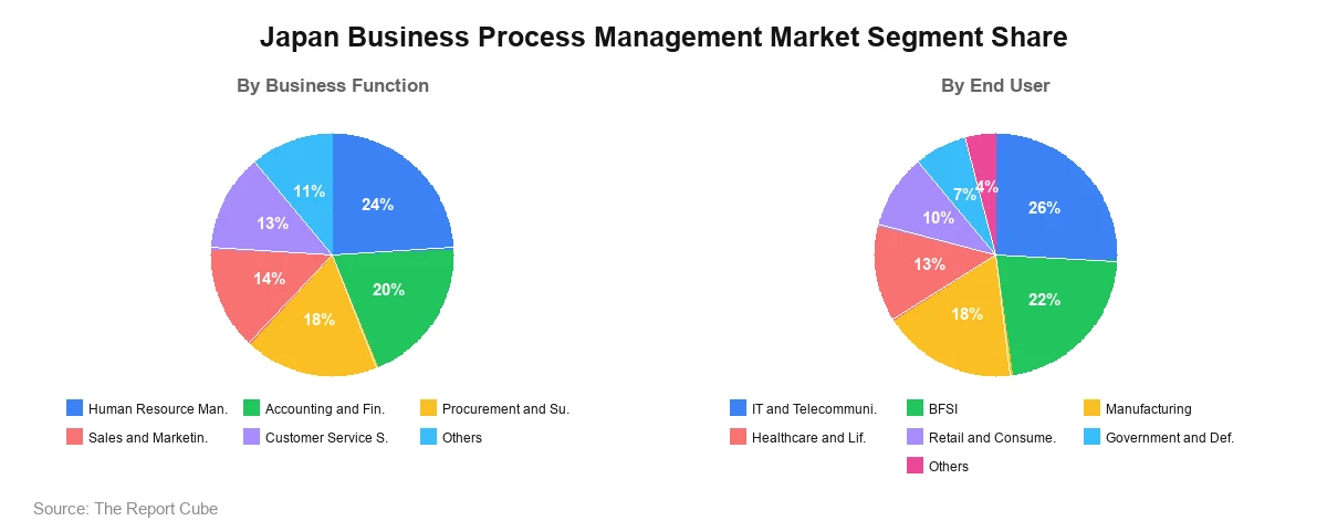 Japan Business Process Management Market Segment Japan Business Process Management Market Segment Analysis