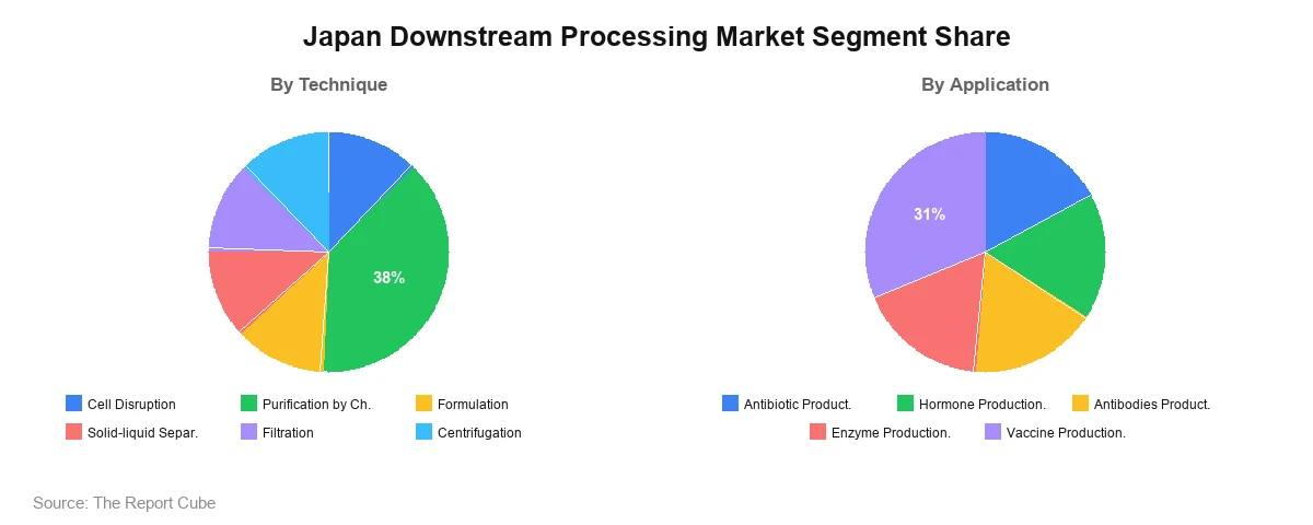 Japan Downstream Processing Market Segment Japan Downstream Processing Market Segment-wise Analysis