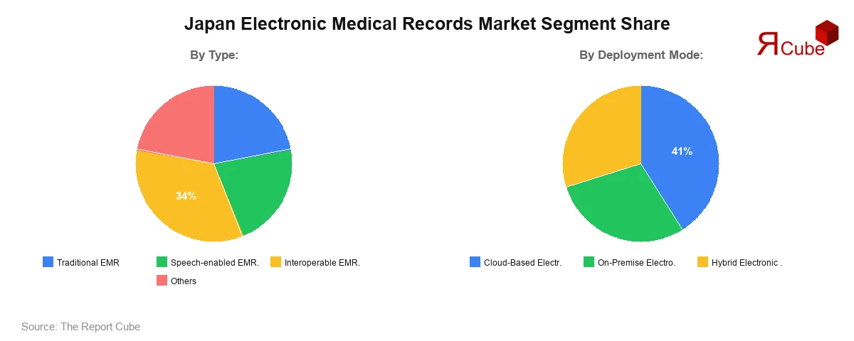 Japan Electronic Medical Records Market Segment Share