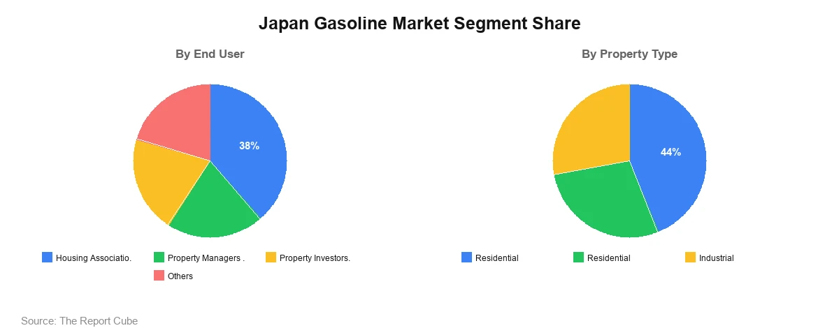 Japan Gasoline Market Segment Japan Gasoline Market Segment-wise Analysis