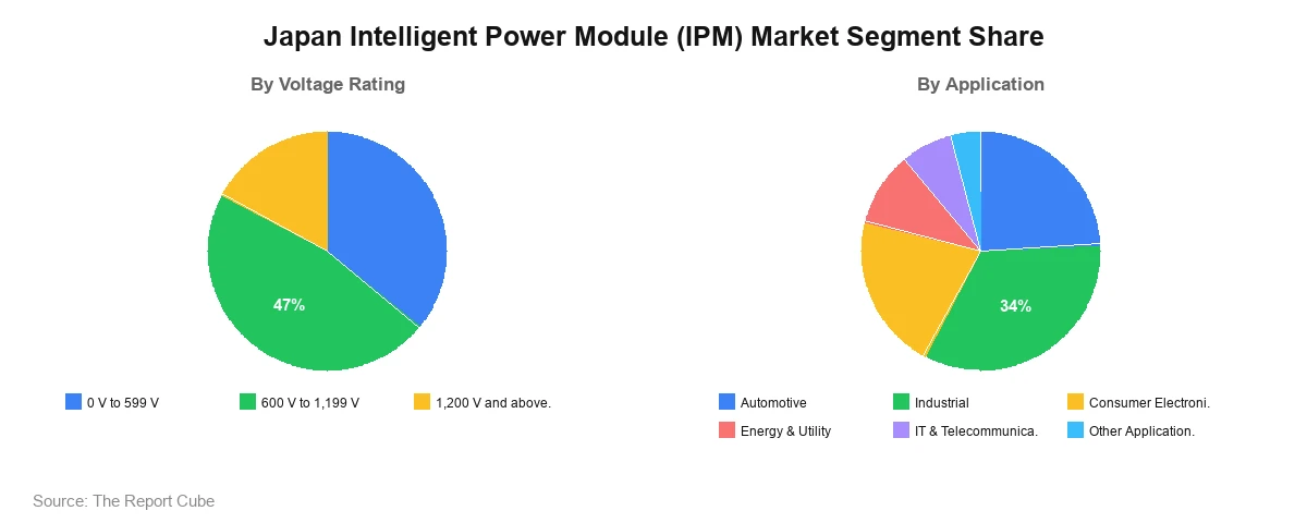 Japan Intelligent Power Module (IPM) Market Japan Intelligent Power Module (IPM) Market Segment Analysis