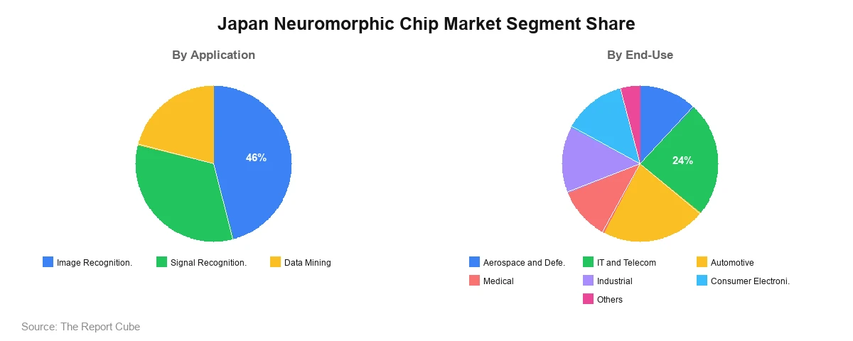 Japan Neuromorphic Chip Market Segment Analysis