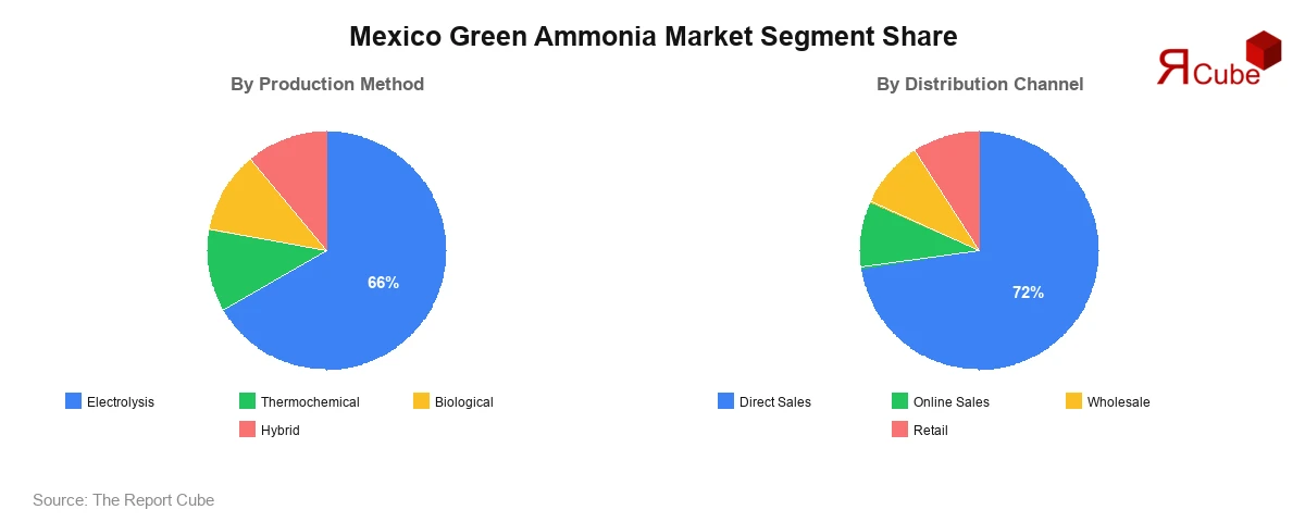 Mexico Green Ammonia Market Segment-wise Analysis
