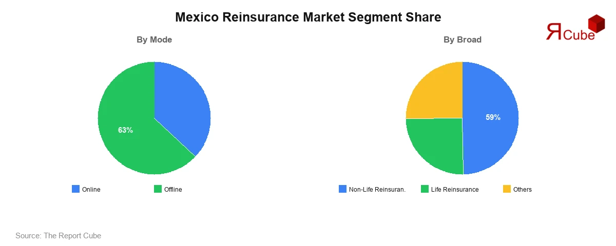 Mexico Reinsurance Market Segment Share Mexico Reinsurance Market Segment-wise Analysis