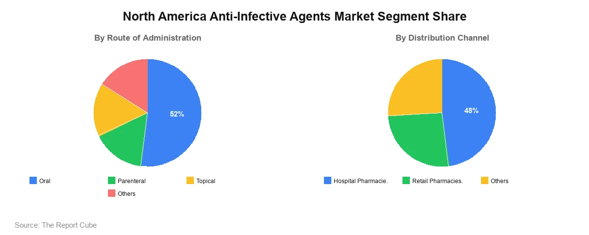 North America Anti-Infective Agents Market Segment North America Anti-Infective Agents Market Segment-wise Analysis