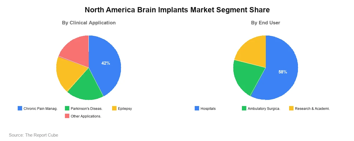 North America Brain Implants Market Segment North America Brain Implants Market Segment-wise Analysis