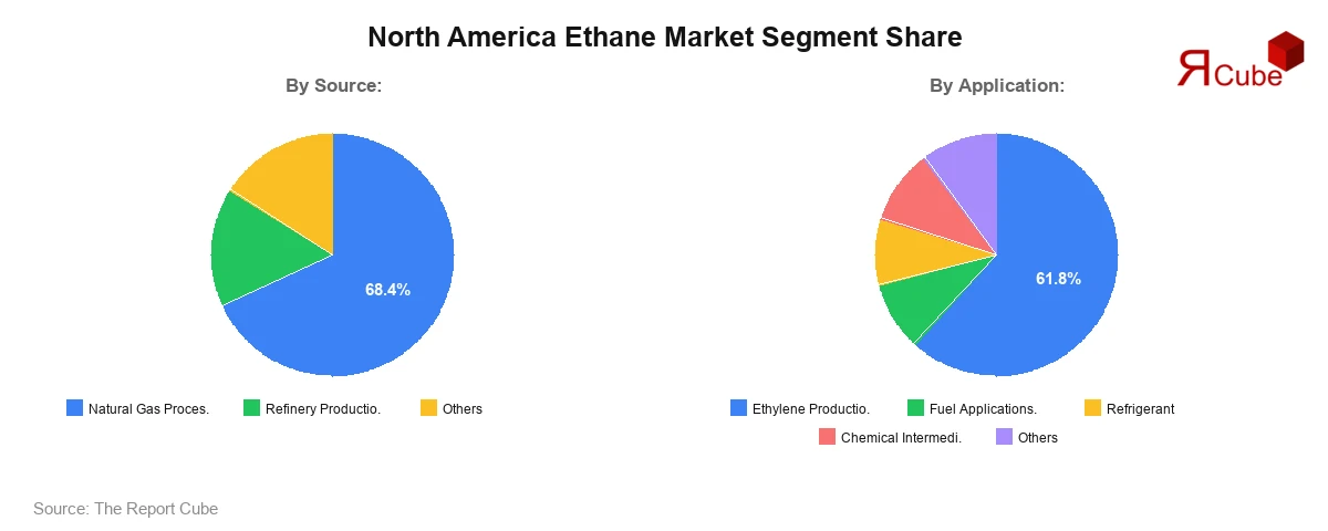 North America Ethane Market Segment Share