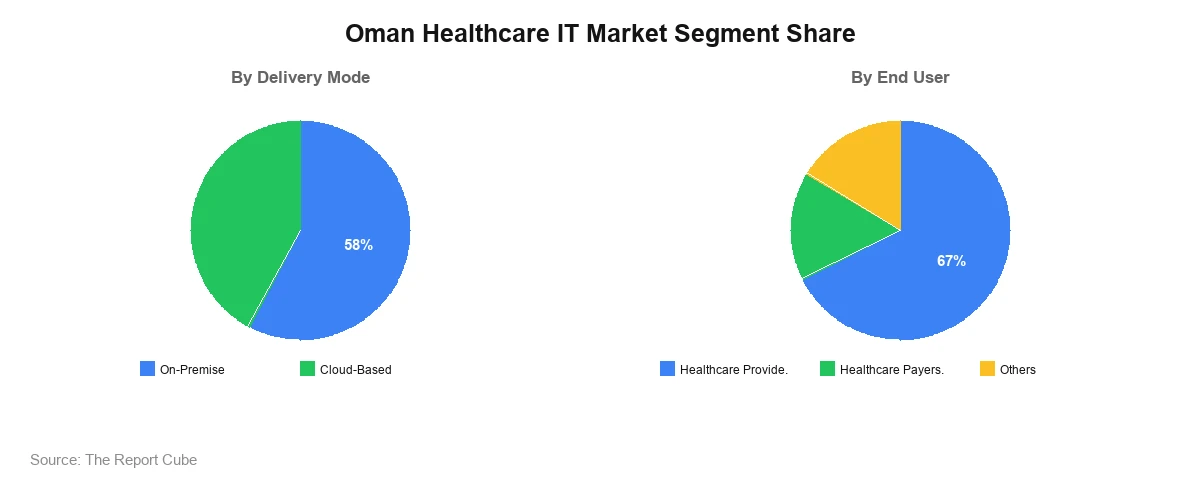 Oman Healthcare IT Market Segment-wise Analysis