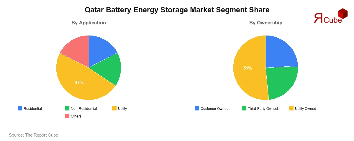 Qatar Battery Energy Storage Market Segment-wise Analysis