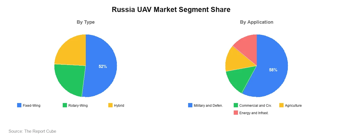 Russia UAV Market Segment Russia UAV Market Segment-wise Analysis