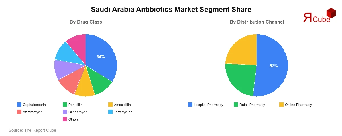 Saudi Arabia Antibiotics Market Segment-wise Analysis
