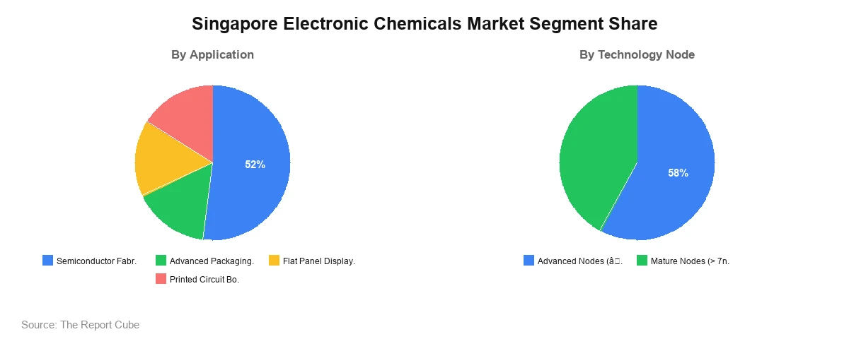 Singapore Electronic Chemicals Market Singapore Electronic Chemicals Market Segment Analysis