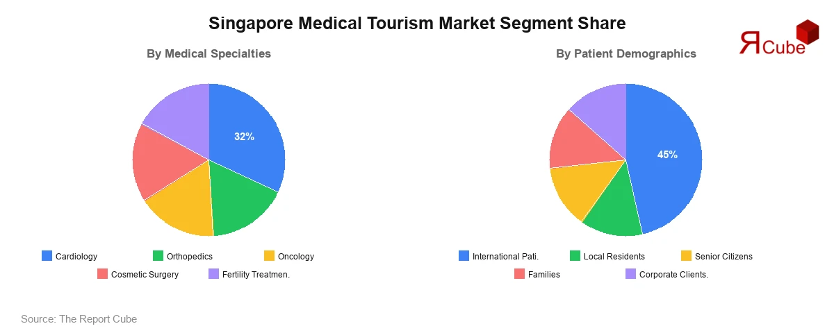 Singapore Medical Tourism Market Segment-wise Analysis