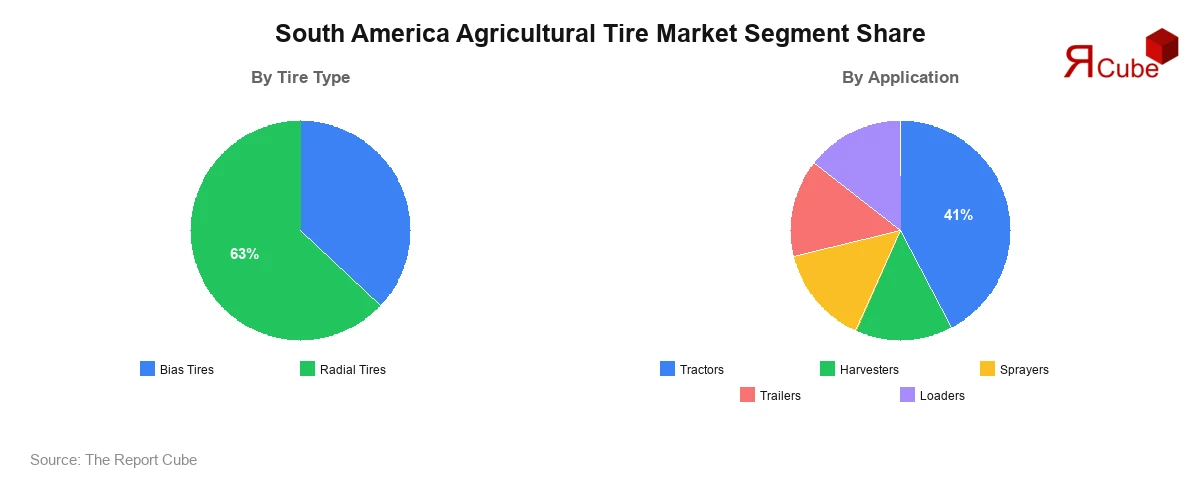 South America Agricultural Tire Market Segment-wise Analysis