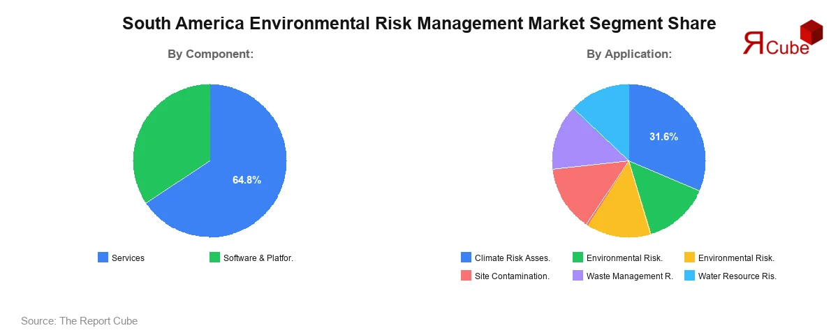 South America Environmental Risk Management Market Segment Share South America Environmental Risk Management Market Segment Share