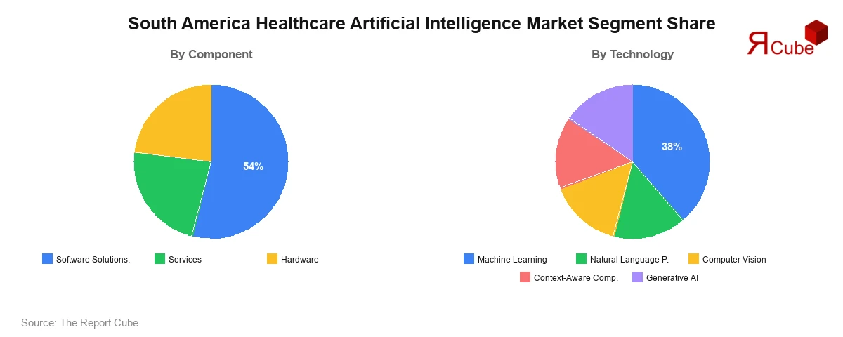 South America Healthcare Artificial Intelligence Market Segment Share South America Healthcare Artificial Intelligence Market Segment-wise Analysis