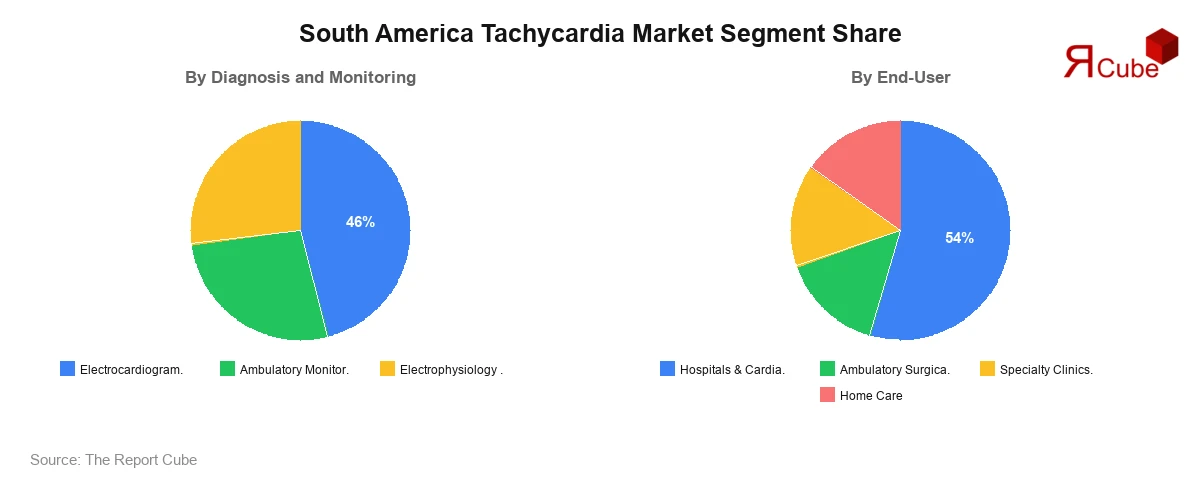 South America Tachycardia Market Segment-wise Analysis