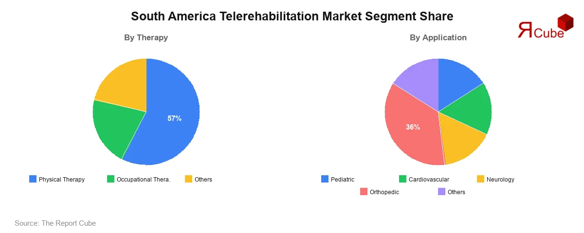 South America Telerehabilitation Market Segment-wise Analysis