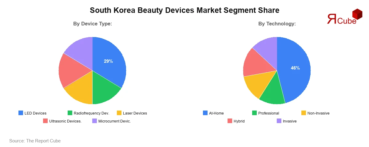 South Korea Beauty Devices Market Segment Share