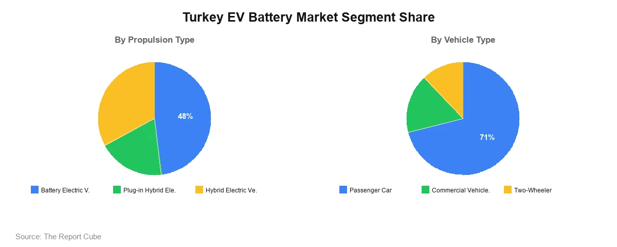 Turkey EV Battery Market Segment-wise Analysis