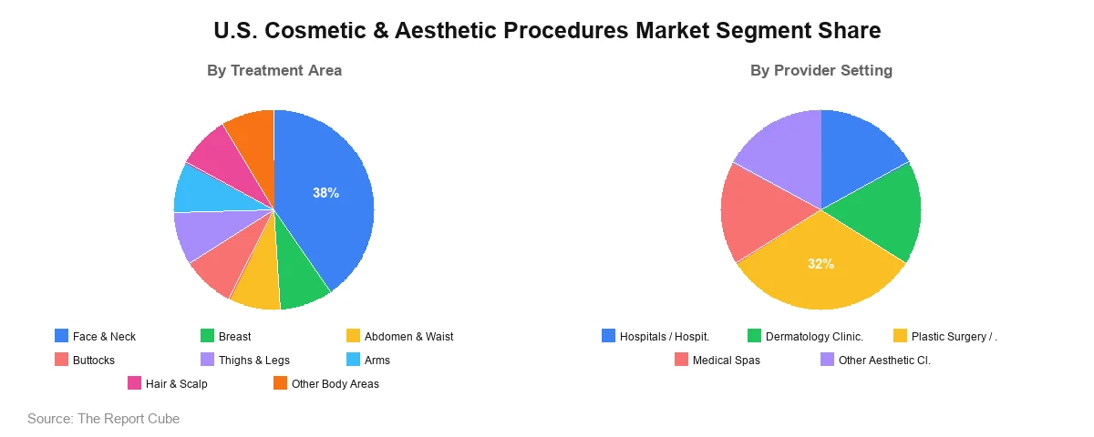 U.S. Cosmetic & Aesthetic Procedures Market Segment U.S. Cosmetic & Aesthetic Procedures Market Segment Analysis