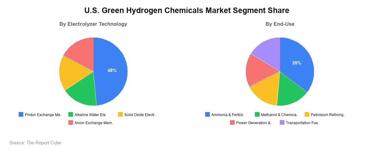 U.S. Green Hydrogen Chemicals Market Segment Analysis