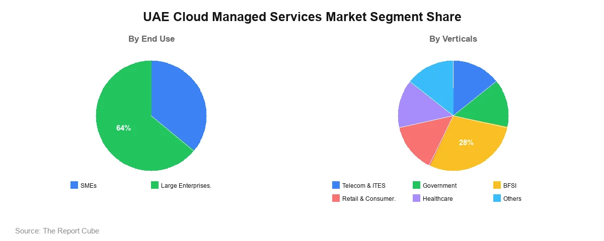 UAE Cloud Managed Services Market Segment UAE Cloud Managed Services Market Segment-wise Analysis