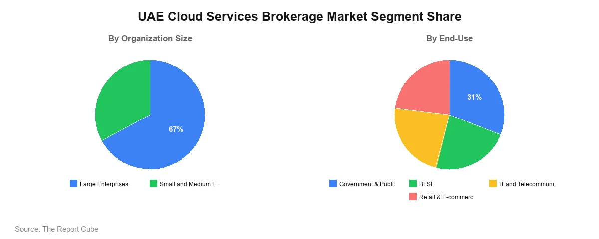 UAE Cloud Services Brokerage Market Segment UAE Cloud Services Brokerage Market Segment-wise Analysis
