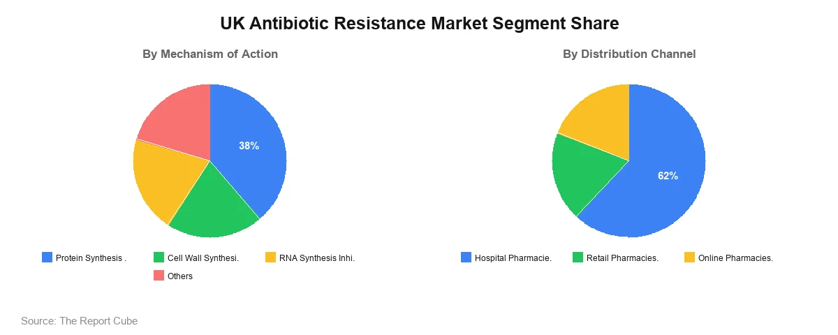UK Antibiotic Resistance Market Segment UK Antibiotic Resistance Market Segment-wise Analysis