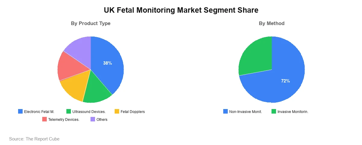 UK Fetal Monitoring Market Segment Share