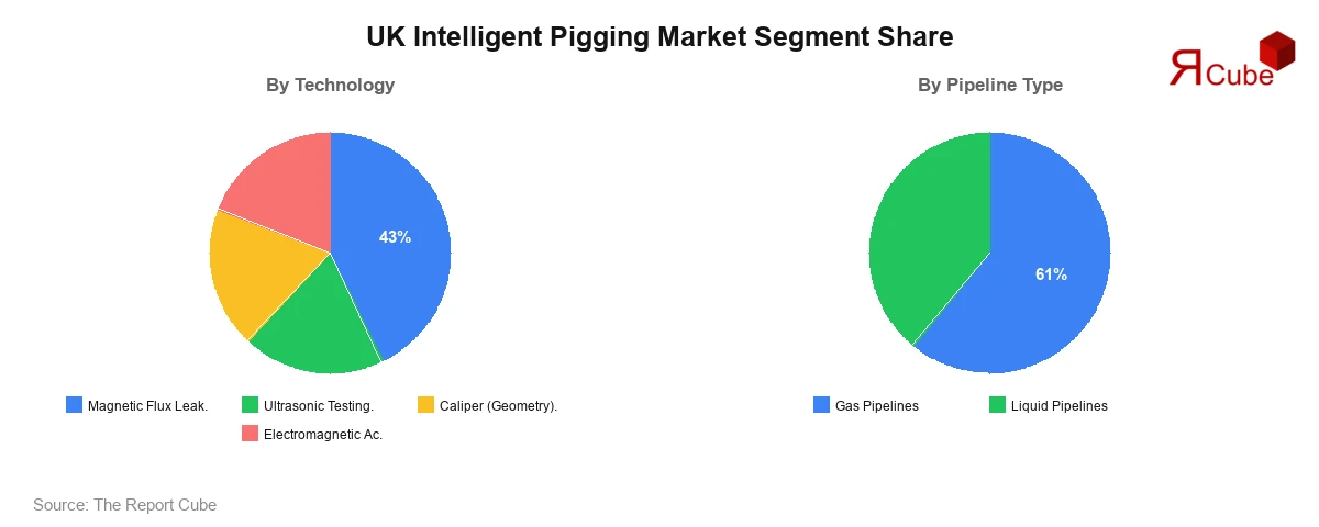 UK Intelligent Pigging Market Segment-wise Analysis