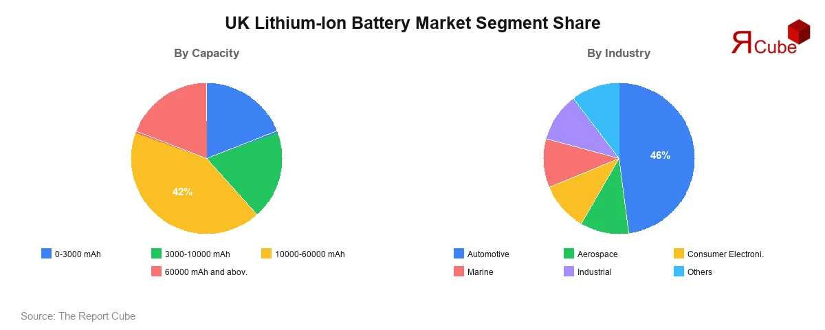 UK Lithium-Ion Battery Market Segment Share UK Lithium-Ion Battery Market Segment-wise Analysis