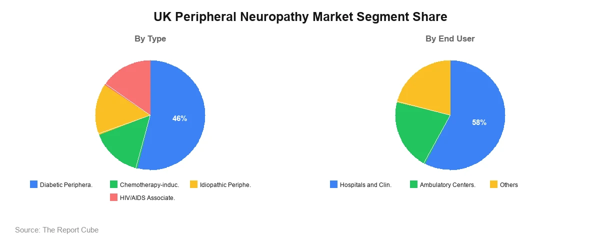 UK Peripheral Neuropathy Market Segment UK Peripheral Neuropathy Market Segment-wise Analysis