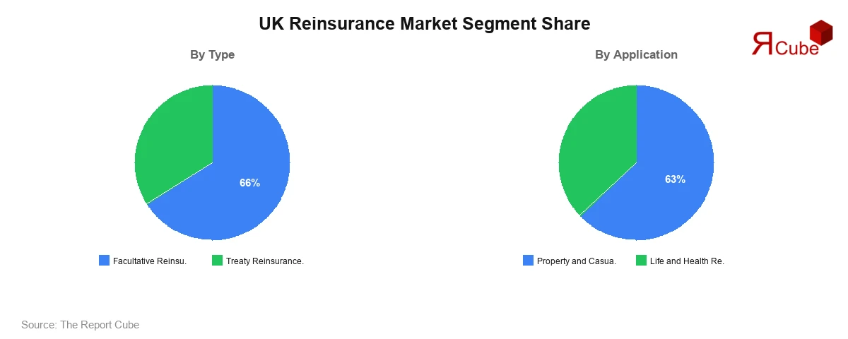 UK Reinsurance Market Segment-wise Analysis