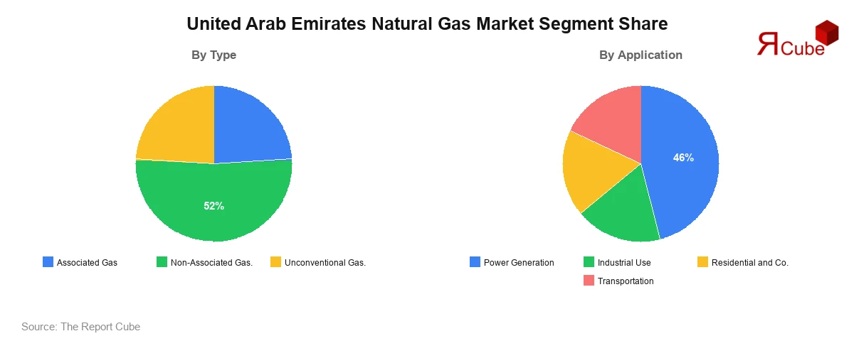 United Arab Emirates Natural Gas Market Segment Share