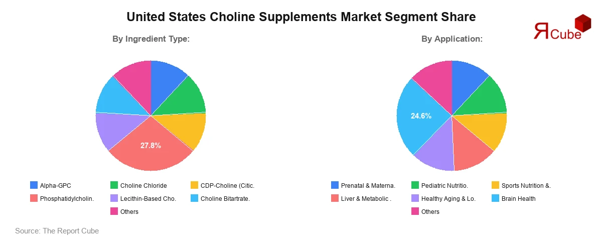 United States Choline Supplements Market Segment Share
