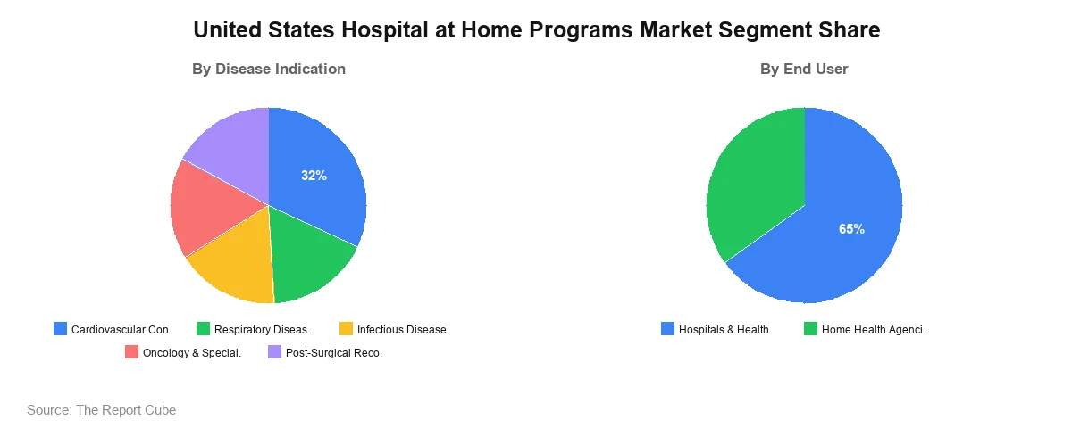 United States Hospital at Home Programs Market Segment Analysis