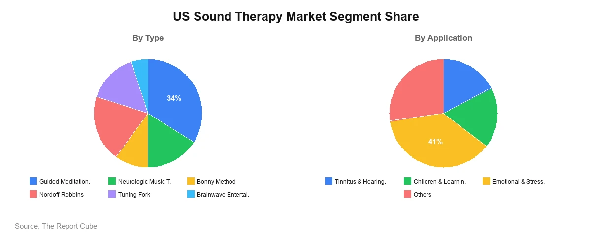 US Sound Therapy Market Segment
